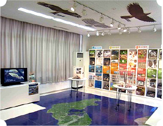 石川県立自然史資料館